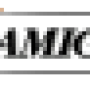 amiga.png